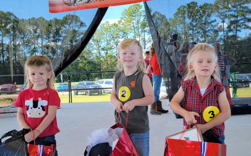 Toddler Division Winners
