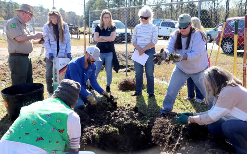 Nassau County Senior Forester Jim Tootle shares information about torpedo grass as volunteers remove the blades from the dirt to plant the tree.