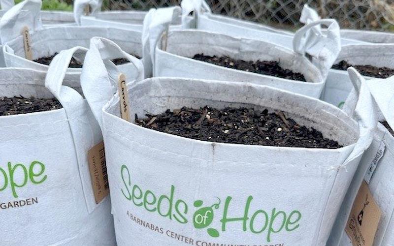 With support from the Florida Blue Foundation, Barnabas is distributing “Grow Bags” to households in need.