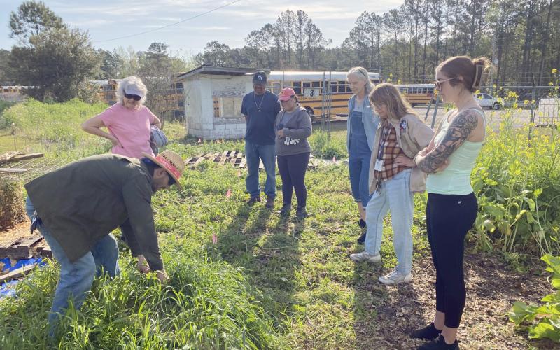 Gardeners plant a pollinator garden at the Northeast Florida Fairgrounds March 14.