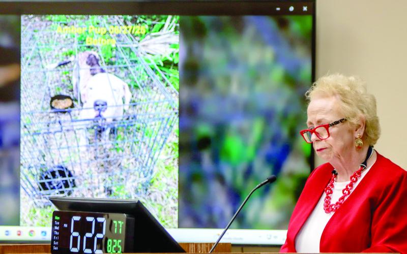 Nassau County Animal Services volunteer Jacque Osborn speaks at Monday’s Board of County Commissioners meeting. Osborn shared photos of a dog named after. The “before” showed her at intake, and the “after” showed what she looked like Sunday. Photo by Ashley Chandler