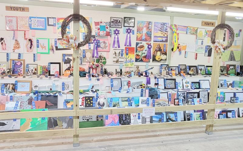 A variety of crafts and artwork can be entered into the Northeast Florida Fair’s Home Arts competition. Canned food, baked goods, plants and more may also be entered. Visit www.neflfair.org to view the rules and divisions available to enter. Submitted
