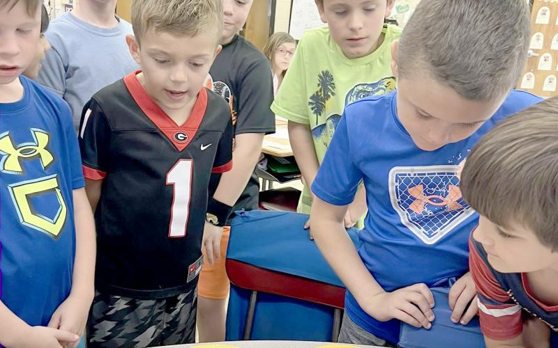 Hilliard Elementary School second grade students watch the colors of the rainbow melt off Skittles during a recent science experiment.