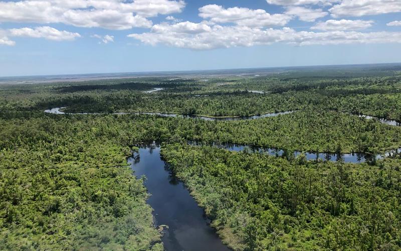 Thomas Creek is just one of the waterways in Nassau County that is affected by the drought. This is an aerial view of the creek. Photo courtesy of the St. Johns River Water Management District