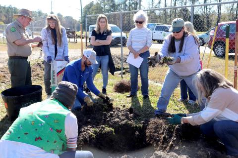 Nassau County Senior Forester Jim Tootle shares information about torpedo grass as volunteers remove the blades from the dirt to plant the tree.