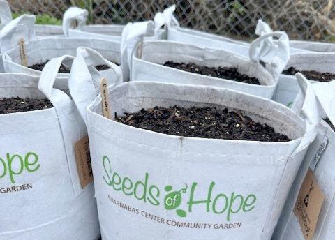 With support from the Florida Blue Foundation, Barnabas is distributing “Grow Bags” to households in need.