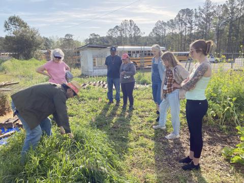 Gardeners plant a pollinator garden at the Northeast Florida Fairgrounds March 14.