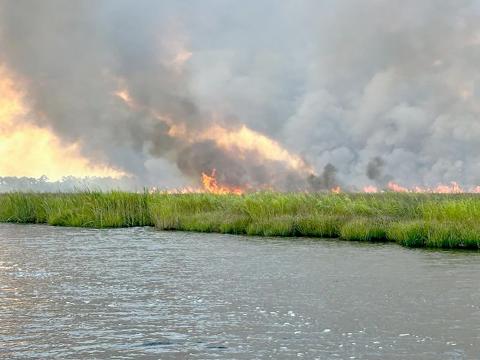 A lightning strike caused a wildfire near the Nassau River Aug. 13. The fire was 100% controlled by Friday morning. A second fire occurred in Bryceville Thursday and its cause is still under investigation. It burned an acre of private property and reportedly did not cause any major damage. Photo courtesy of the Nassau County Sheriff’s Office