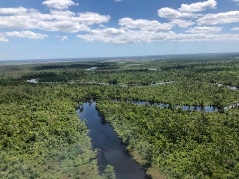 Thomas Creek is just one of the waterways in Nassau County that is affected by the drought. This is an aerial view of the creek. Photo courtesy of the St. Johns River Water Management District