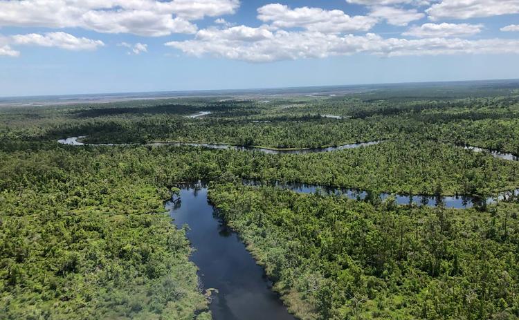 Thomas Creek is just one of the waterways in Nassau County that is affected by the drought. This is an aerial view of the creek. Photo courtesy of the St. Johns River Water Management District